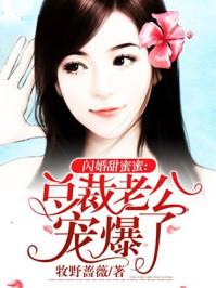 半夏半暖半倾城什么意思