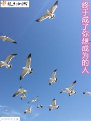 我终于成为你想要的人