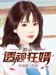 都市透视狂婿TXT免费阅读全文
