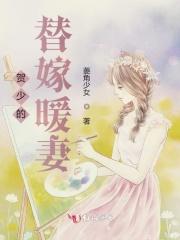 贺少的替嫁全集免费阅读