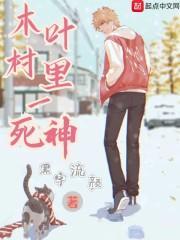 木叶村的梗
