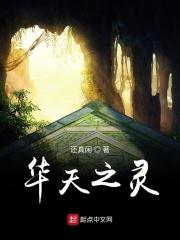 天之华科技有限公司