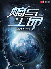 沉浸宇宙