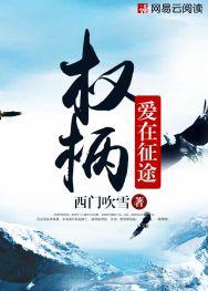 步步为营夏文博袁青玉第二部