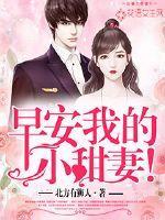 早安我的小妻子重生