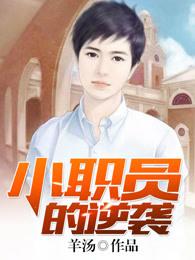 小职员翻身记在线阅读