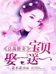 总裁撩妻