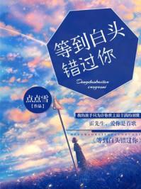 等你等到白了头是哪首歌的歌词
