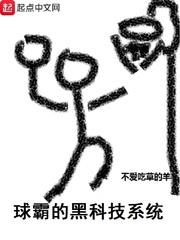篮球霸王系统
