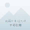 都市至尊天骄黄小龙