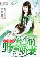 晏少的私宠小