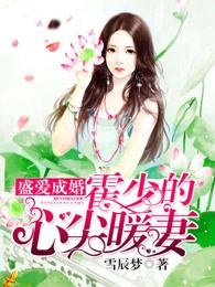 盛爱成婚霍少的心尖暖妻有声