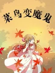 菜鸟的模式