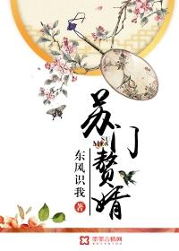 电视剧赘婿苏家灭门