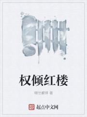 红楼之权倾天下