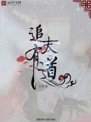 追夫有术