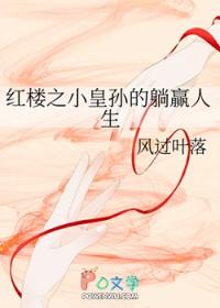 红楼皇子的