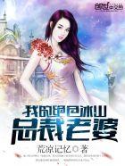 我的冰山总裁老婆境界划分
