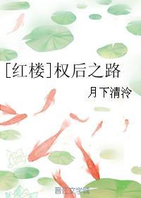红楼权臣之妻番外