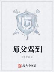 师父驾到电视剧免费播放