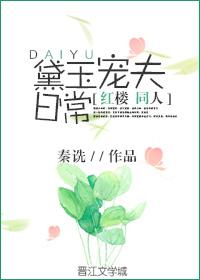 黛玉红楼文