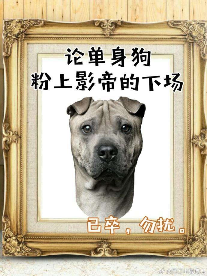 影帝酷爱撒糖娱乐圈