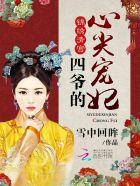 四爷的心尖宠妃畅读