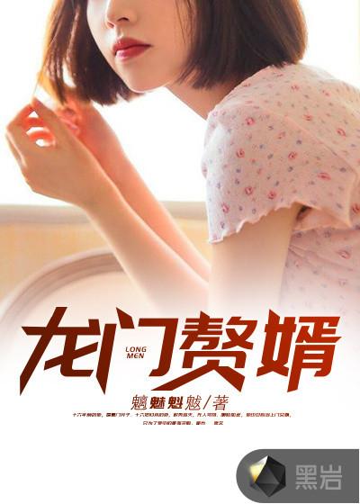 龙门龙婿
