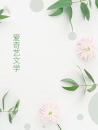 日常撩妻守则完整版txt
