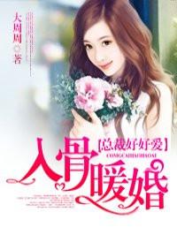 缠绵入骨总裁好好爱全文免费阅读