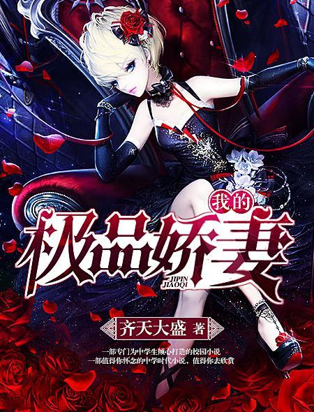 我的极品老婆电视剧分剧集介绍