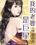 我的媳妇是巨星