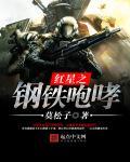 红星钢铁集团简介