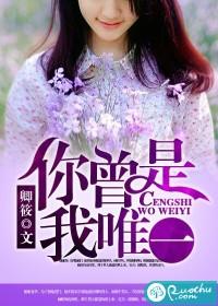 你是我曾经的唯一歌曲
