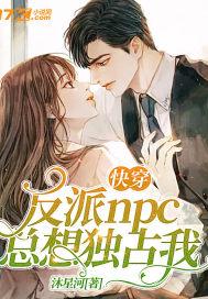 反派npc求