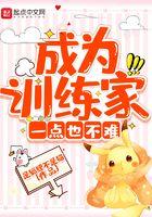 成为训练家一点也不难 起点