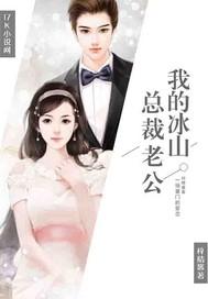 我的冰山总裁老婆目录
