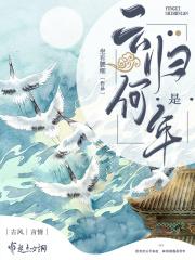 云归晚