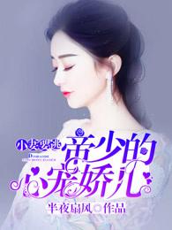 帝少小妻爱闯祸