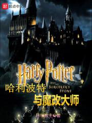 哈利波特与魔改大师悠悠书盟