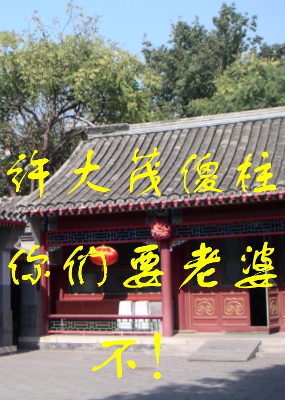 梁山cp同人文虐向