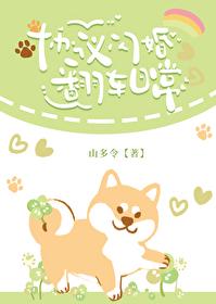 重生之安妻