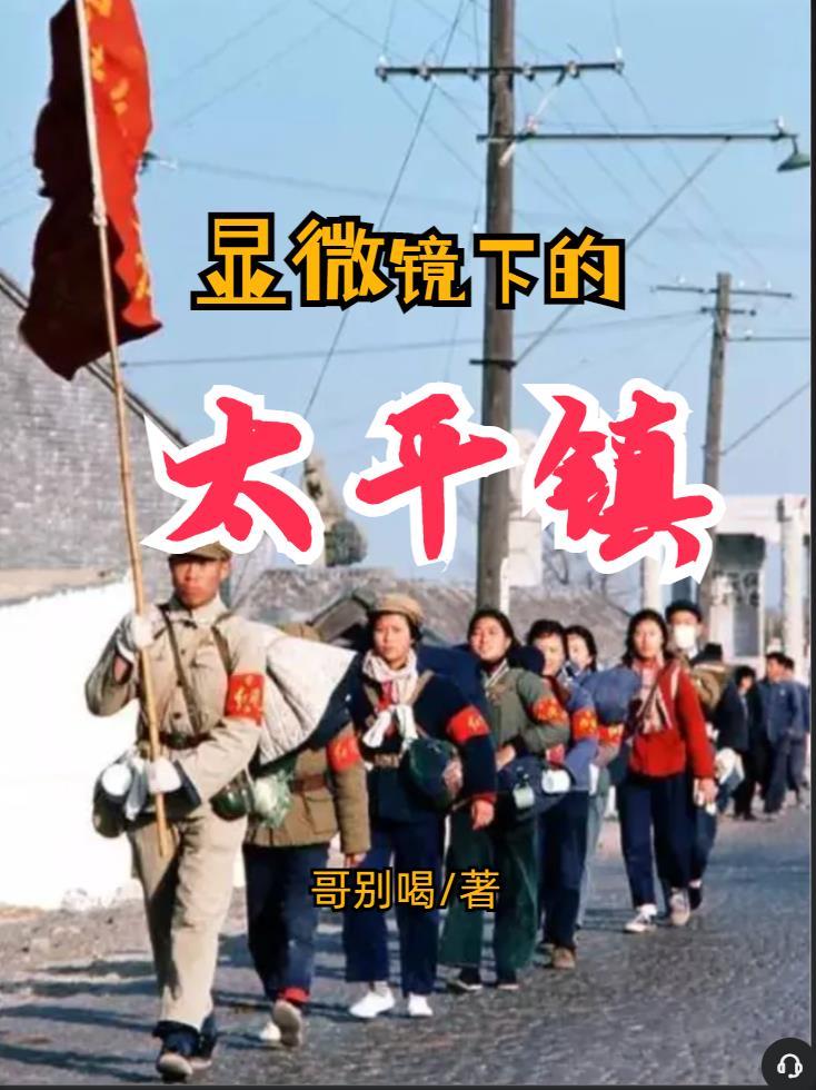 迟软林深的