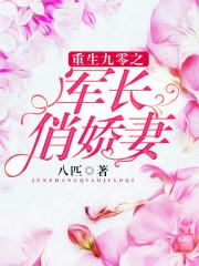 偷得一叶天光什么意思